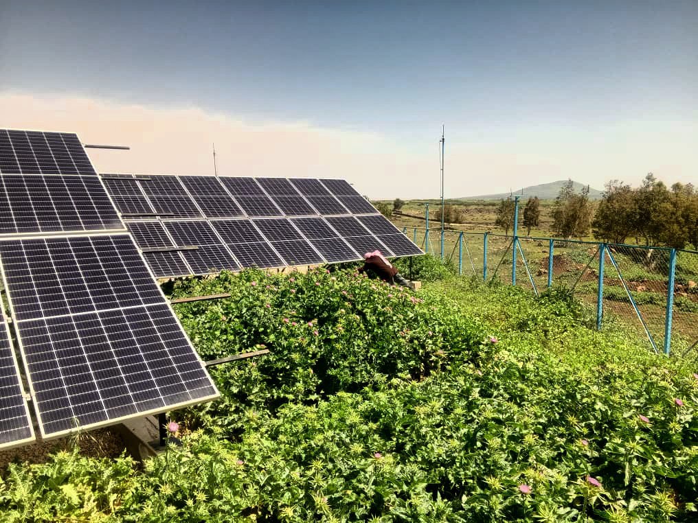 Preventive measures at the Bariqa Dam in the Quneitra countryside