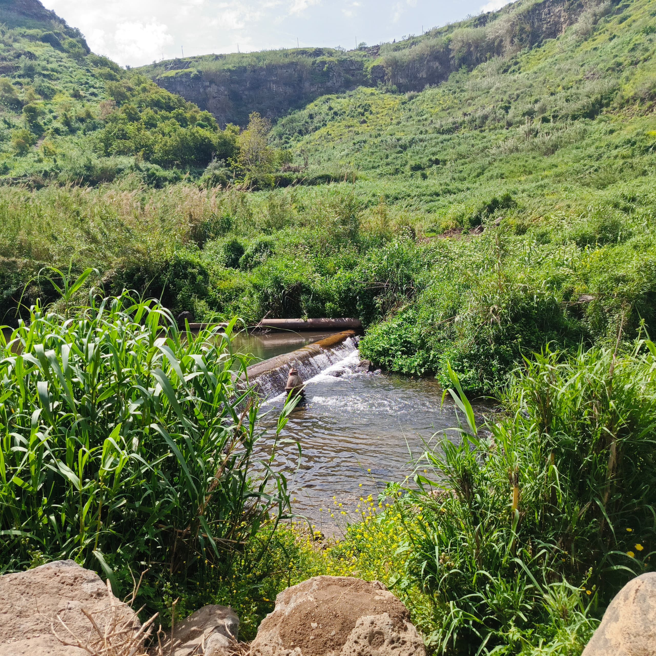 The Water Monitoring Division of the Integrated Management Department in the Daraa Water Resources Directorate conducted a field visit to assess water quality.