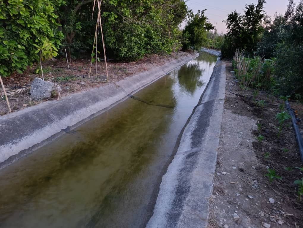 Implementing the irrigation programme within the Mashqita Dam system to ensure a continuous water supply to the farmland