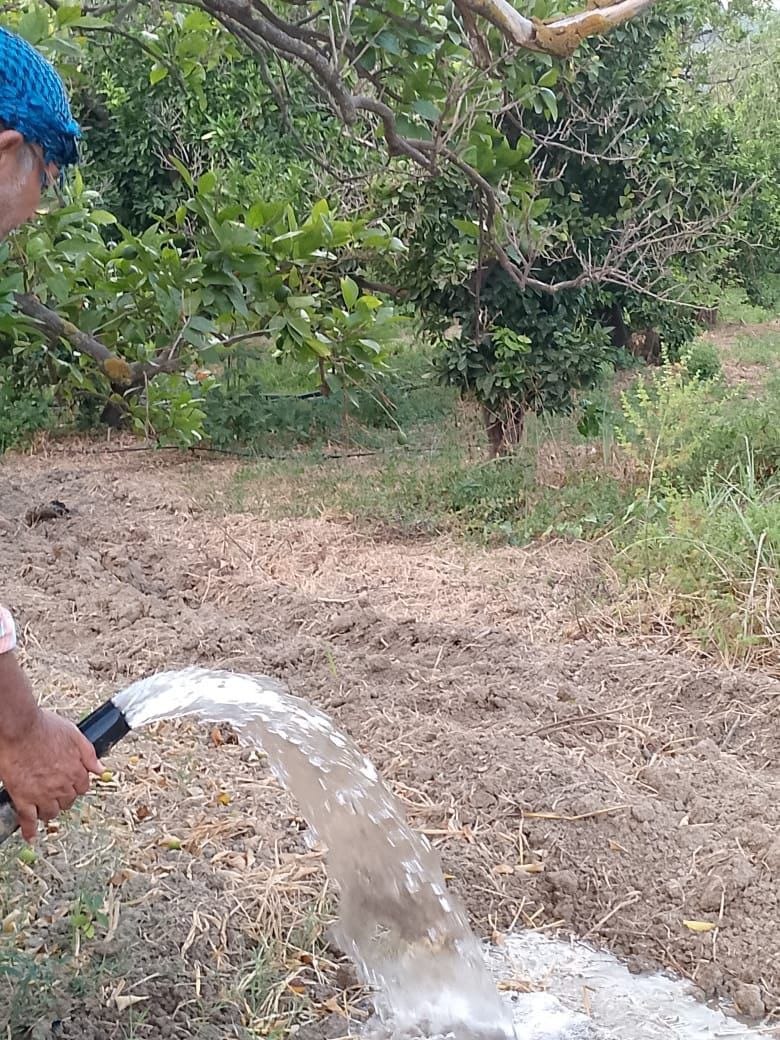 Following up on the implementation of the second irrigation cycle in the Belloran development networks, and concluding the first irrigation cycle at the Qanjra dam within the group of surface dams in the northern plain