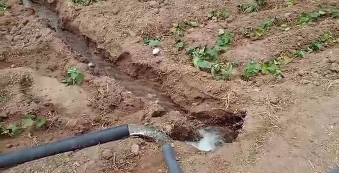 The Directorate of Water Resources in Latakia continues to carry out daily operation plans to ensure water keeps reaching the farmland.