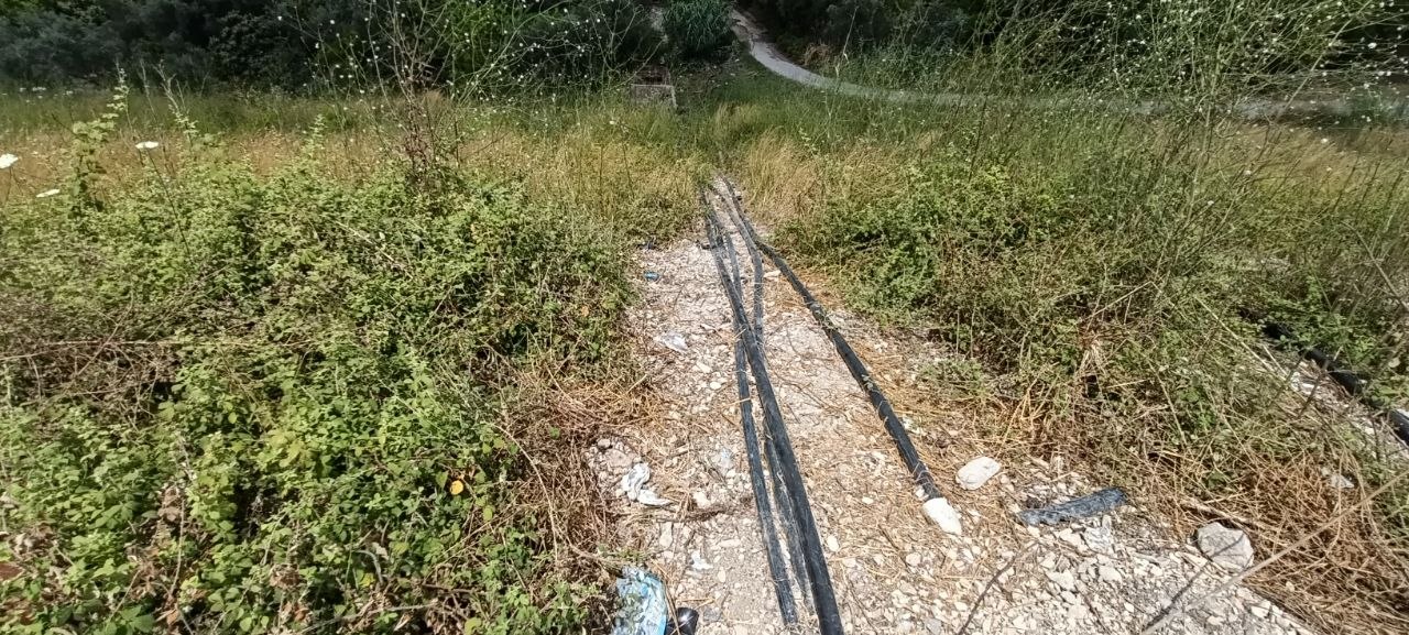 The Water Resources Directorate in Latakia continues to manage the irrigation system