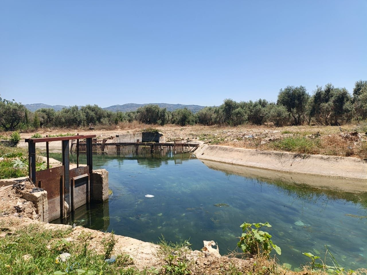 Latakia Water Resources Directorate Following up on the implementation of irrigation programs in the Ain Al-Bayda Plateau project