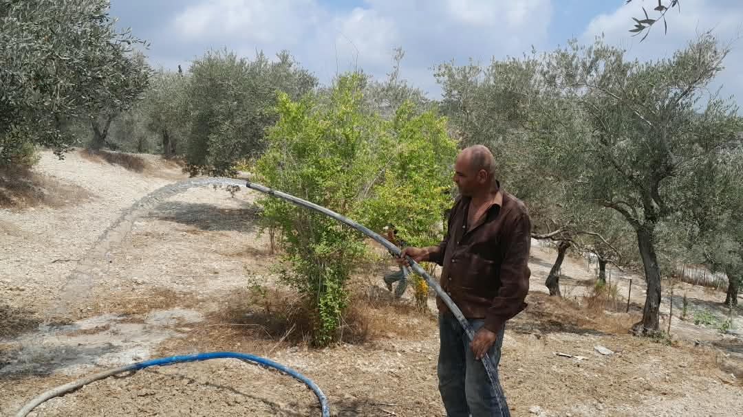 The Water Resources Directorate in Latakia is monitoring the irrigation rates of the Ain Al-Bayda networks as the first session nears its end.