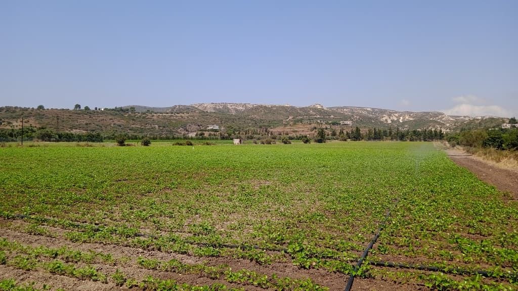 The Directorate of Water Resources in Latakia is keeping an eye on the irrigation water situation in the northern plain areas.