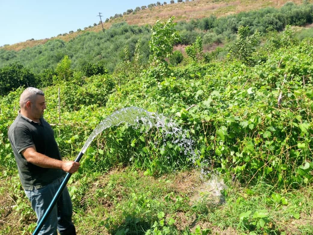 The Water Resources Directorate in Latakia is following up on the state of irrigation and the start of the sixth watering cycle