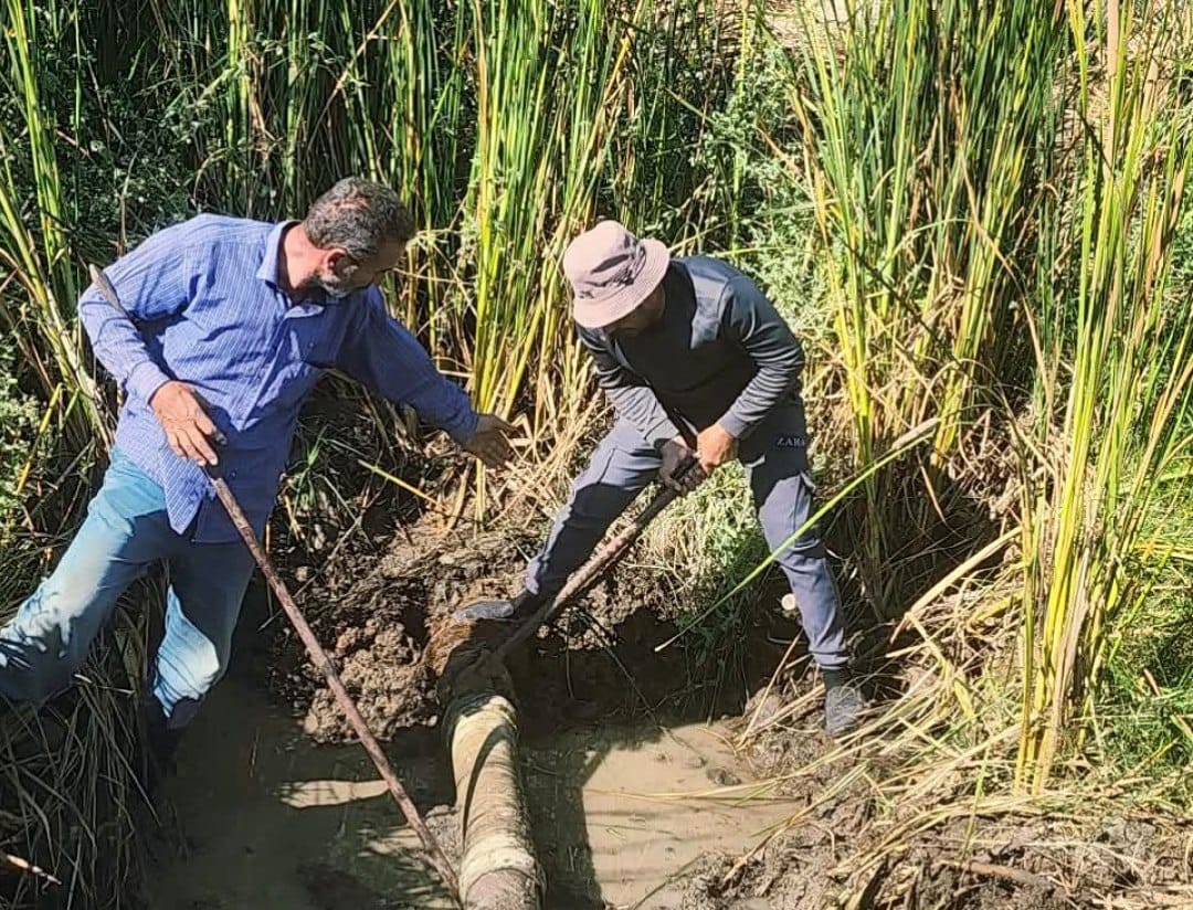 Clearing a blocked irrigation line serving 250 dunams in Ain Al-Tina, rural Quneitra