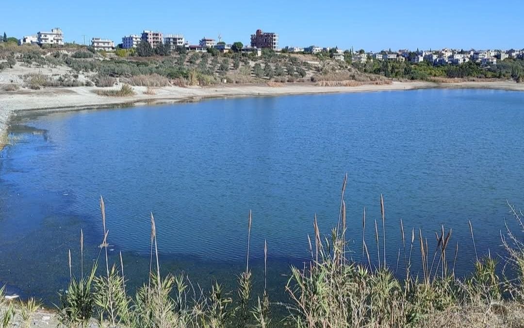 Latakia Water Resources Directorate: Dam reserves are at 65% as the irrigation season comes to an end